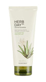 Herb Day 365 Master Blending Foaming Cleanser Aloe & Green Tea